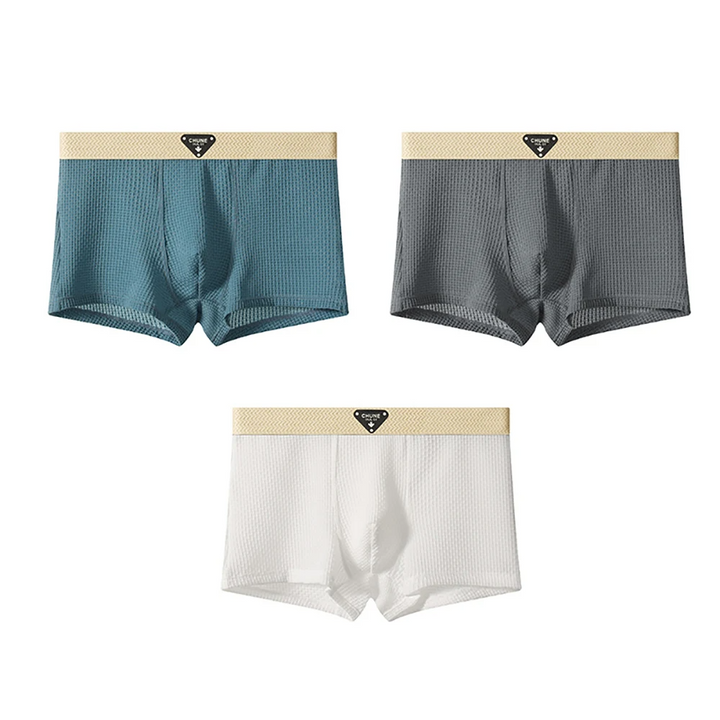 FLEX SILK BOXER SET